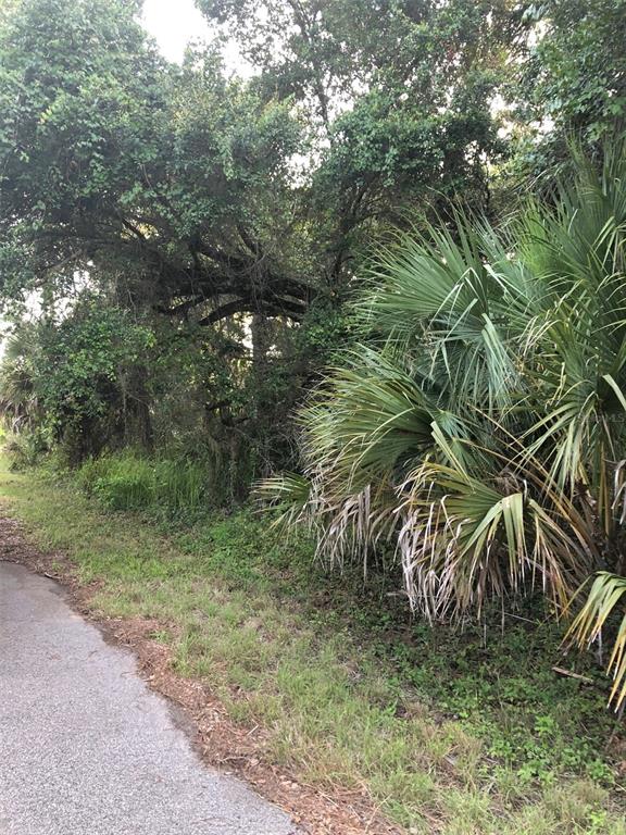 A paved path runs alongside a wooded area with dense trees and large palmetto plants — CARMELIA STREET, NORTH PORT, FL