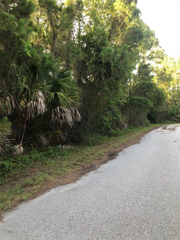 A paved road runs alongside a dense area of trees and palmetto bushes — CARMELIA STREET, NORTH PORT, FL