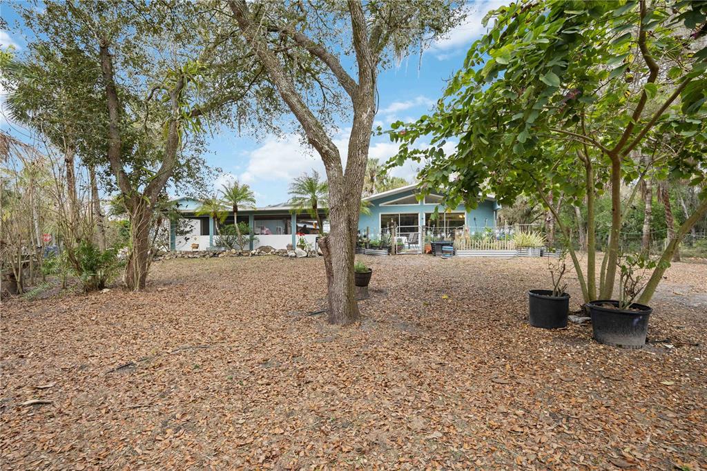 A gravel driveway leads toward a fenced pasture with palm trees and parked vehicles — 6649 PIMLICO STREET, NORTH PORT, FL