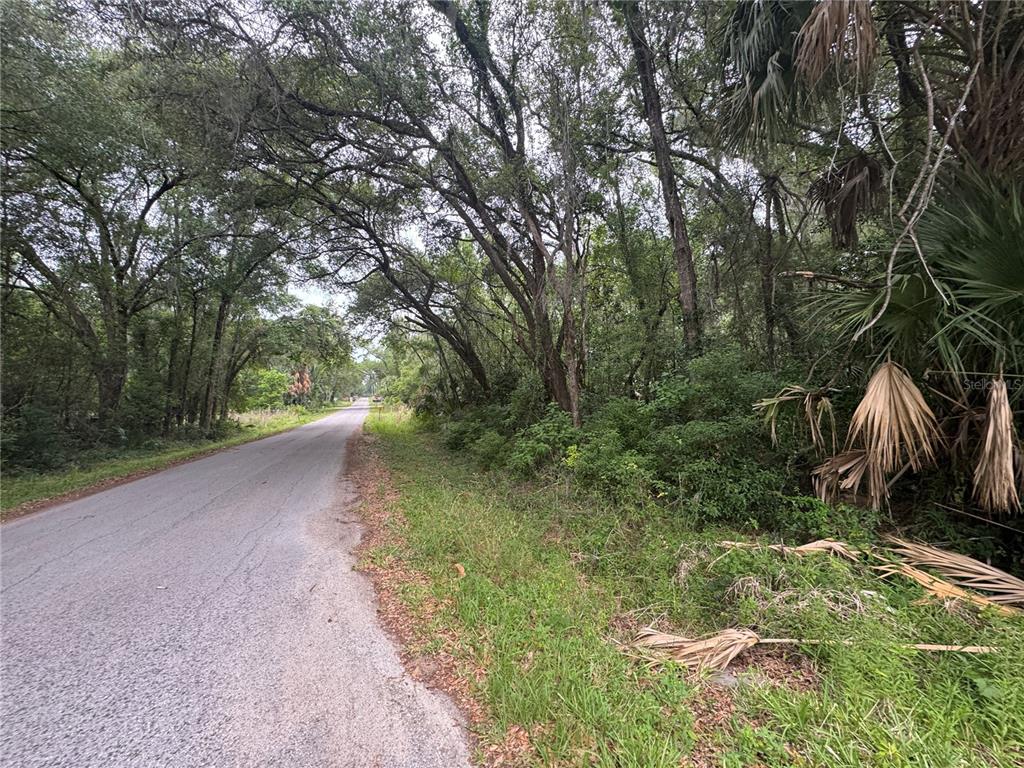 A paved road runs alongside a wooded lot with dense trees and vegetation — 874 N SAVARY AVENUE, INVERNESS, FL