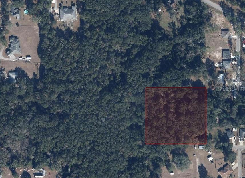 An aerial view shows a rectangular plot of land highlighted in red amidst dense trees — TBD NW 177TH PLACE, HIGH SPRINGS, FL