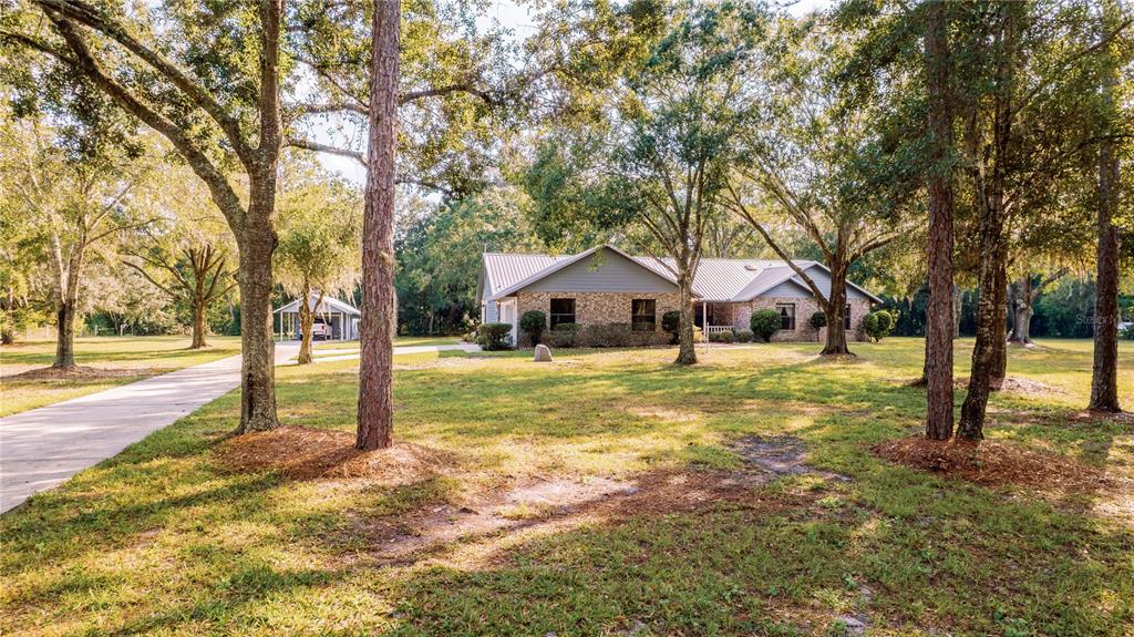 4450 PINE TREE DRIVE