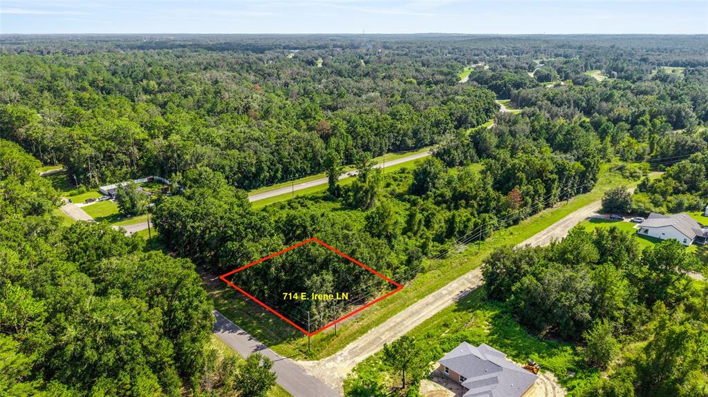 An aerial view shows a rectangular, wooded vacant lot outlined in red near a road — 714 E IRENE LANE, CITRUS SPRINGS, FL