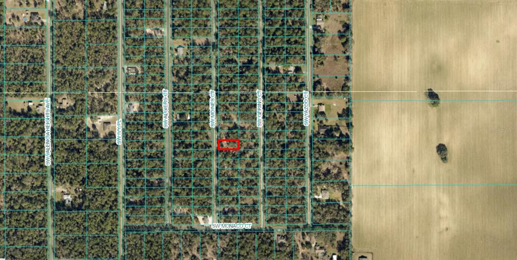 An aerial view shows a rectangular, wooded vacant lot outlined in red next to a road — Lot 36 SW MONINES COURT, DUNNELLON, FL