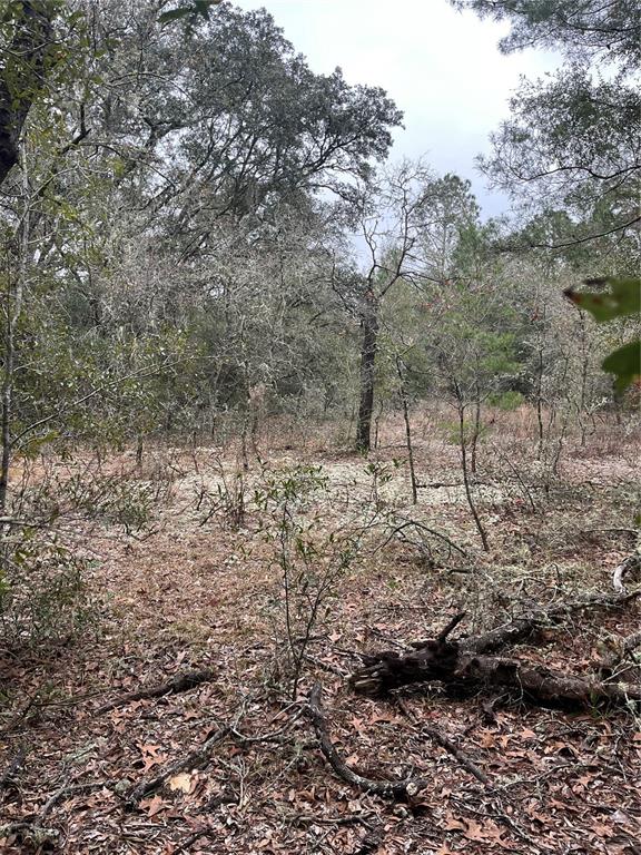 This is an aerial map showing a vacant lot outlined in red within a residential area — Lot 36 SW MONINES COURT, DUNNELLON, FL