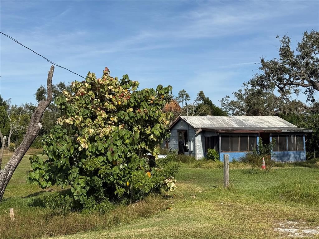 A weathered blue house with a screened porch sits behind a large, leafy shrub — 916 PINEY POINT ROAD, PALMETTO, FL