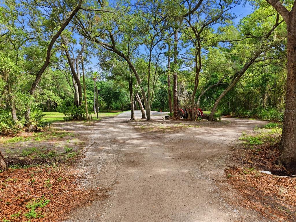A dirt driveway leads through a wooded area toward a clearing with a parked tractor — 910 1010 & 1016  3RD AVE SE AVENUE SE, RUSKIN, FL
