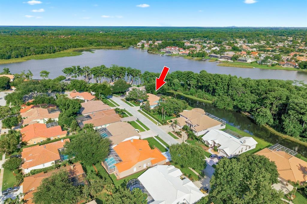 An aerial view shows a residential neighborhood with houses, a lake, and dense surrounding trees — 3930 TARIAN COURT, PALM HARBOR, FL