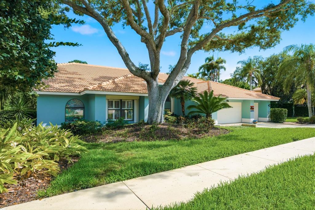 A single-story teal house with a tiled roof and a large tree in the yard — 3930 TARIAN COURT, PALM HARBOR, FL