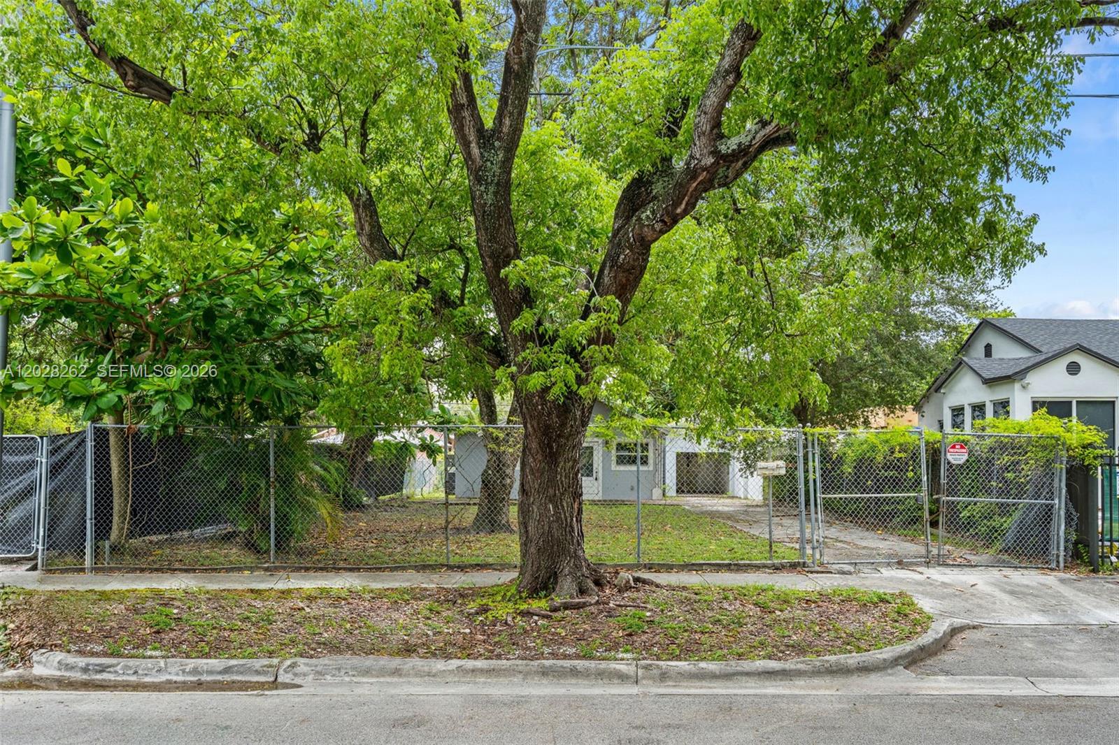 A chain-link fence encloses a yard with a large tree in front of a house — 352 NW 41st St, Miami FL 33127, MIAMI, FL