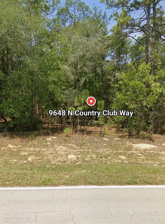 A wooded, undeveloped residential lot sits behind a paved road — 9648 N COUNTRY CLUB WAY, CITRUS SPRINGS, FL