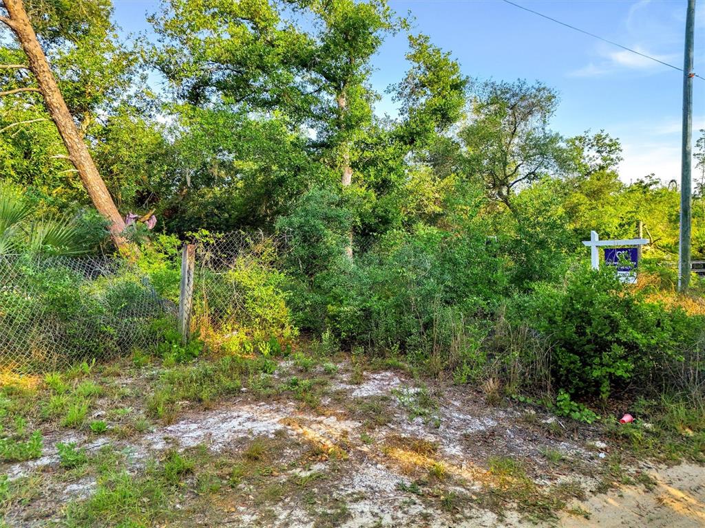 A wooded, overgrown vacant lot features a chain-link fence and a real estate sign — JEWELL DRIVE, DELAND, FL