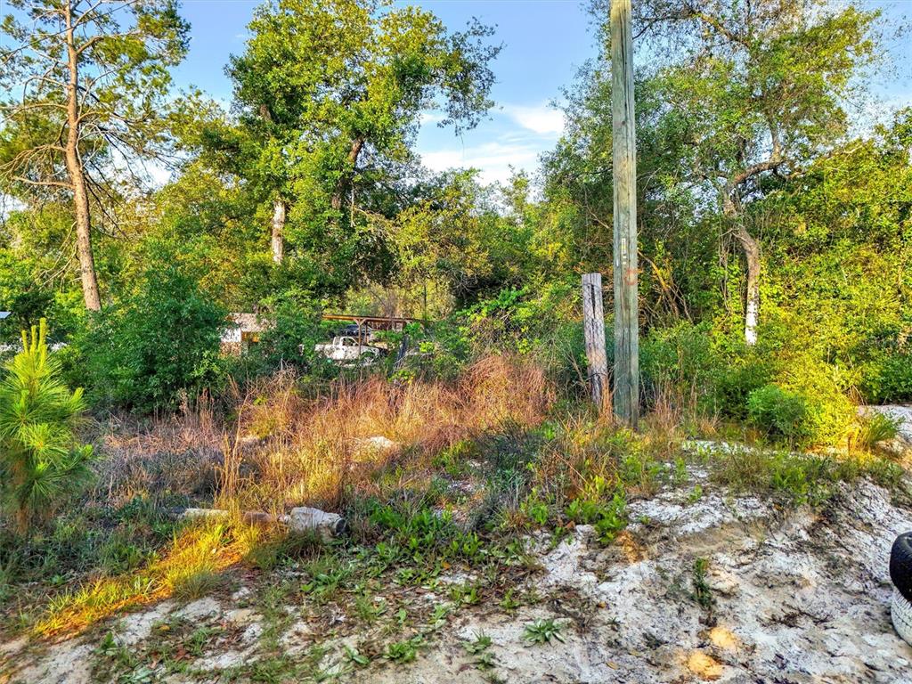 A sandy, overgrown lot features a utility pole, dense trees, and a distant covered structure — JEWELL DRIVE, DELAND, FL