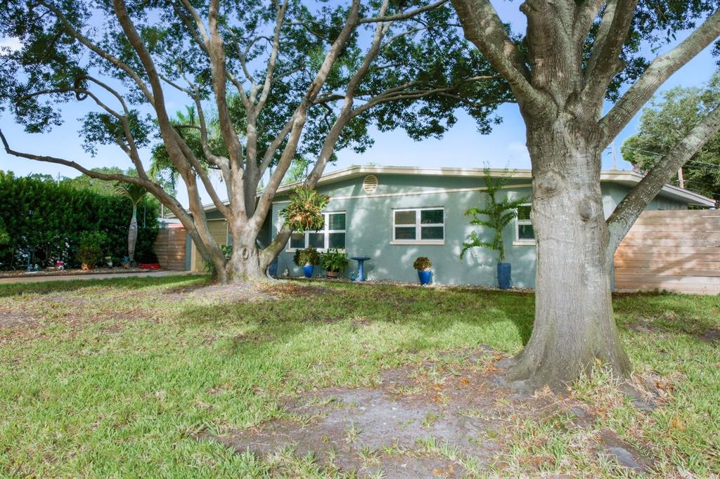 A single-story house with light green siding is partially obscured by large trees — 3280 56TH WAY N, ST PETERSBURG, FL