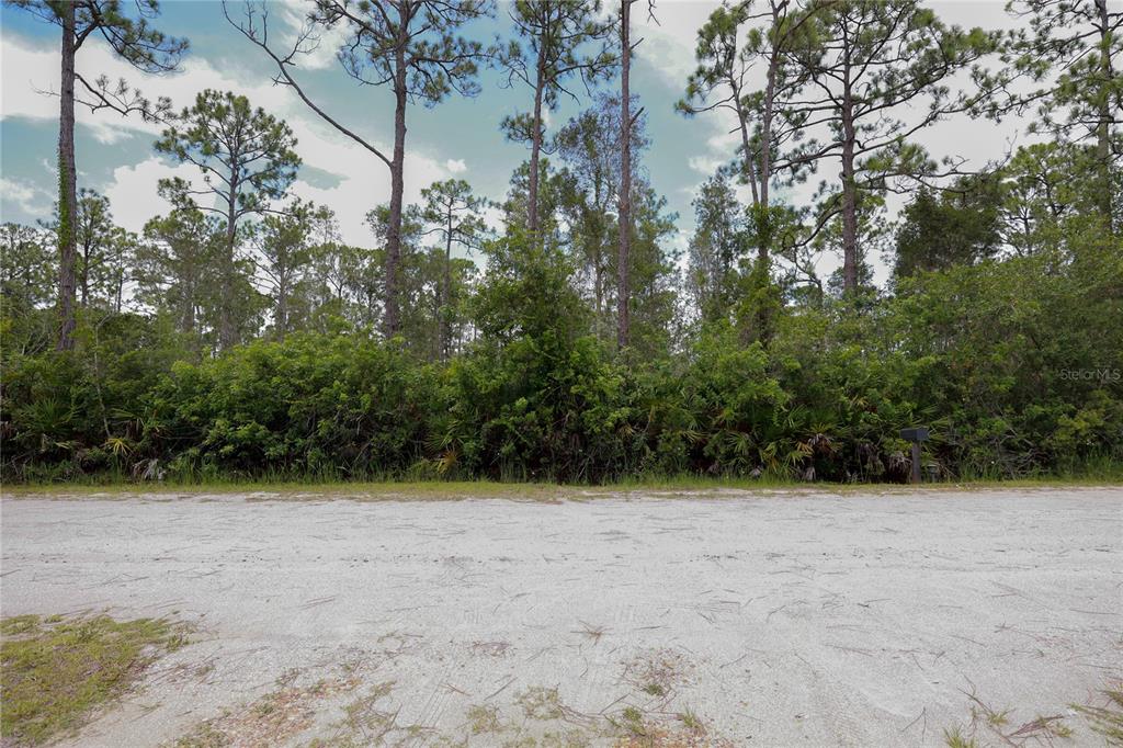 A dirt road runs in front of a dense line of trees and shrubs — 28381 HERMOSO DRIVE, PUNTA GORDA, FL