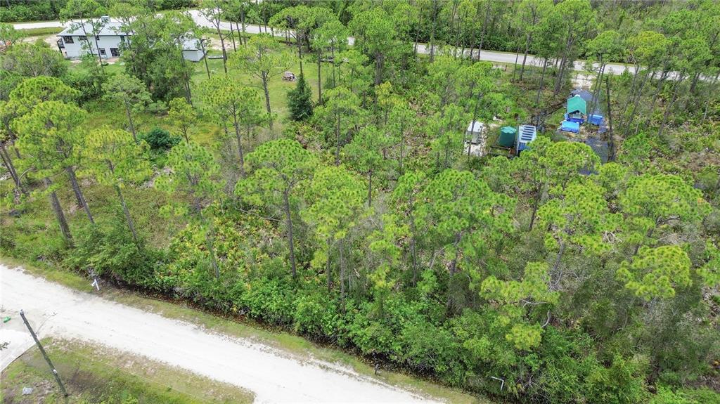 An aerial view shows a wooded, undeveloped lot bordered by a dirt road and nearby houses — 28381 HERMOSO DRIVE, PUNTA GORDA, FL