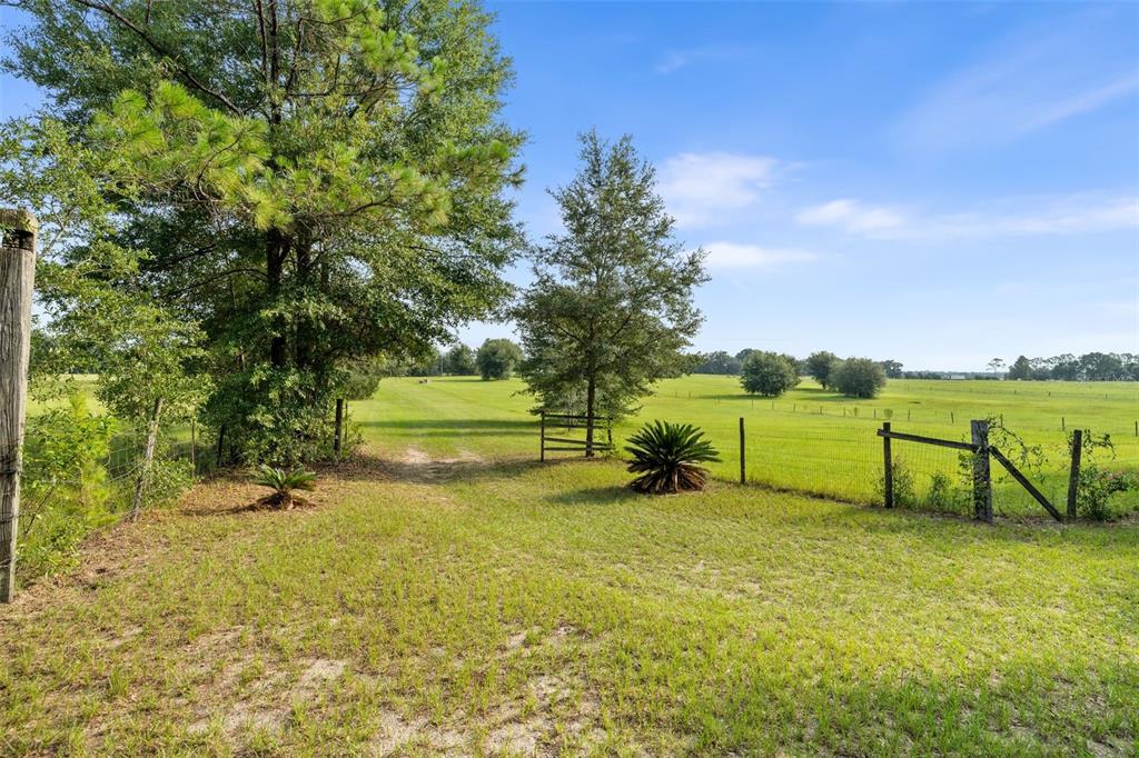 A grassy field with scattered trees is enclosed by a wire fence and wooden posts — 6690 SE 47TH PLACE, TRENTON, FL