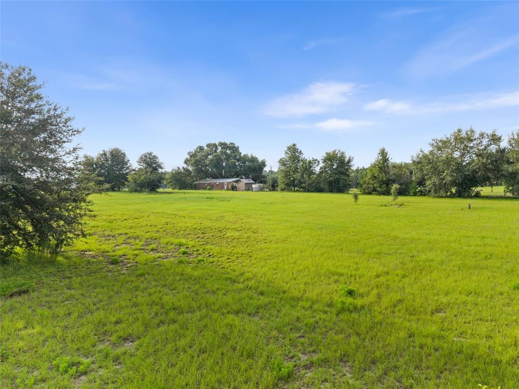 A large, grassy field stretches toward a distant house surrounded by mature trees — 6690 SE 47TH PLACE, TRENTON, FL