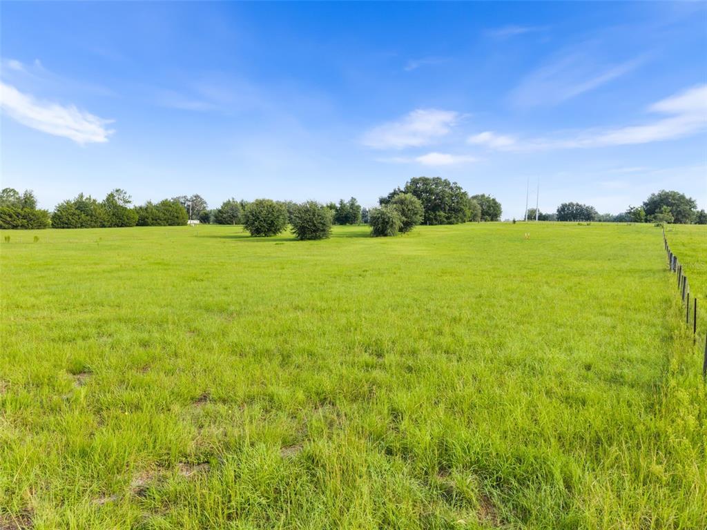 A wide, grassy field is bordered by a wire fence and distant trees under a sky — 6690 SE 47TH PLACE, TRENTON, FL