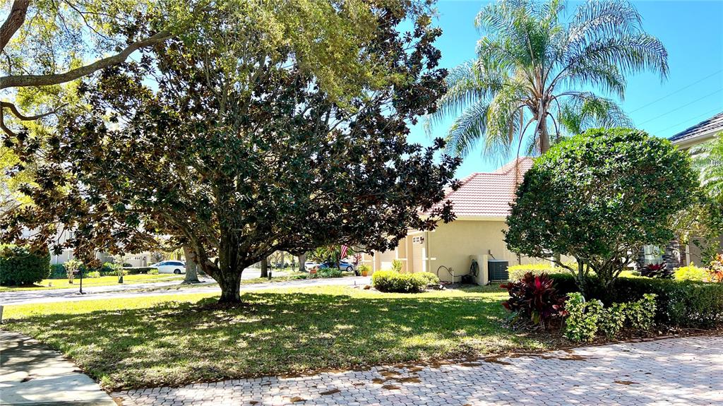 A large tree shades the front yard of a house with a tiled roof — 8854 OAK LANDINGS COURT, ORLANDO, FL