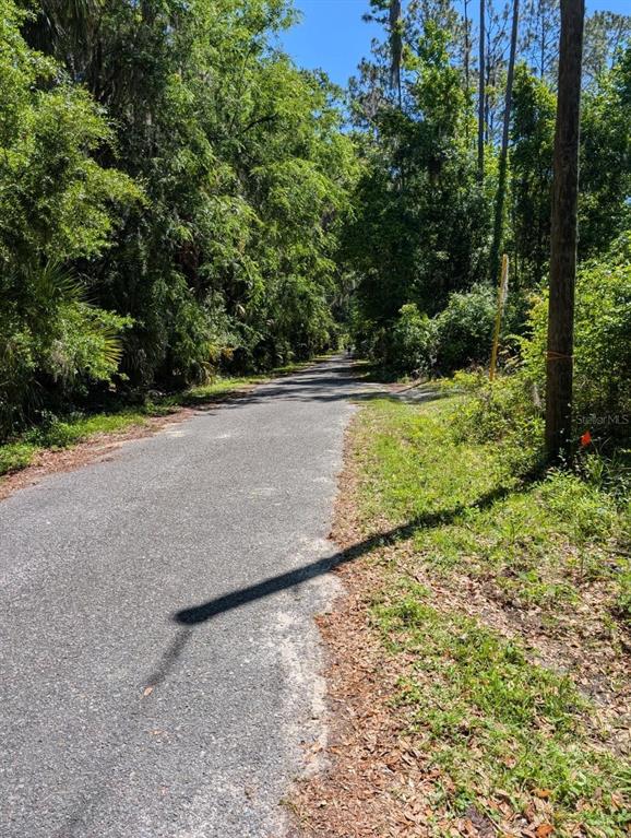 A paved road runs through a wooded area with dense trees and vegetation on both sides — 0 NW 202ND PLACE, MC INTOSH, FL