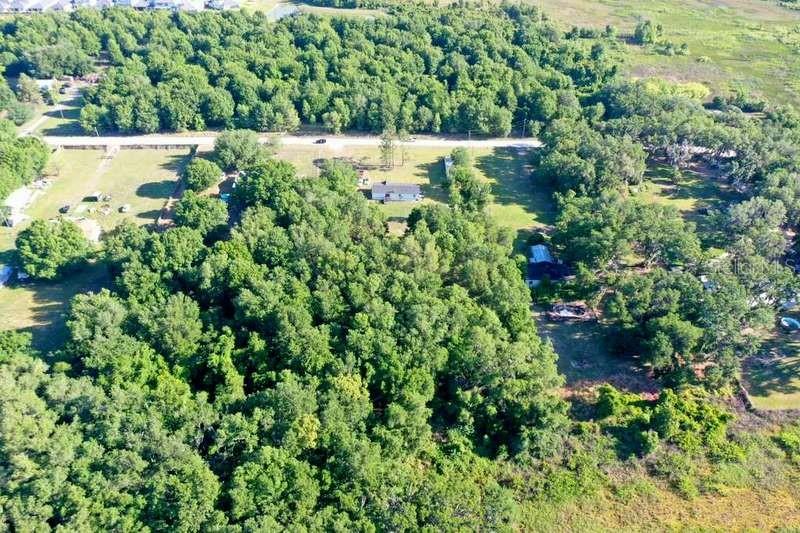 An aerial view shows a house surrounded by dense trees and open grassy land — 31326 TYNDALL ROAD, WESLEY CHAPEL, FL