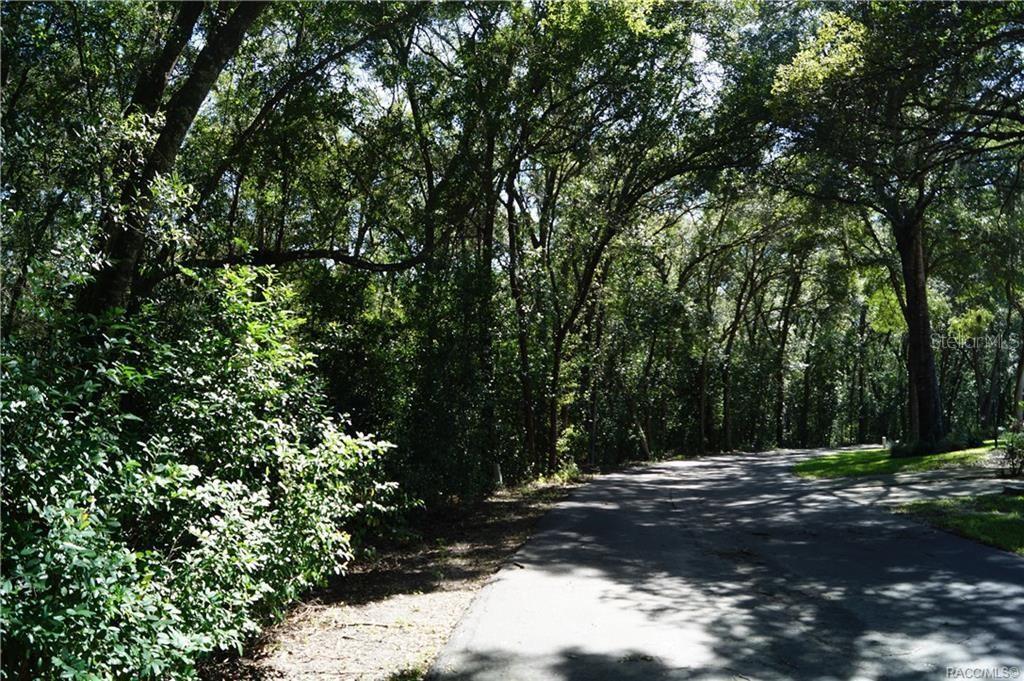 3505 N WOODGATE DRIVE