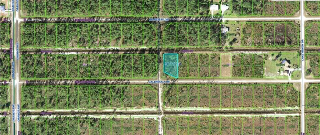 This is an aerial map showing a vacant, wooded lot highlighted in blue — 624 CALENDULA DRIVE, INDIAN LAKE ESTATES, FL