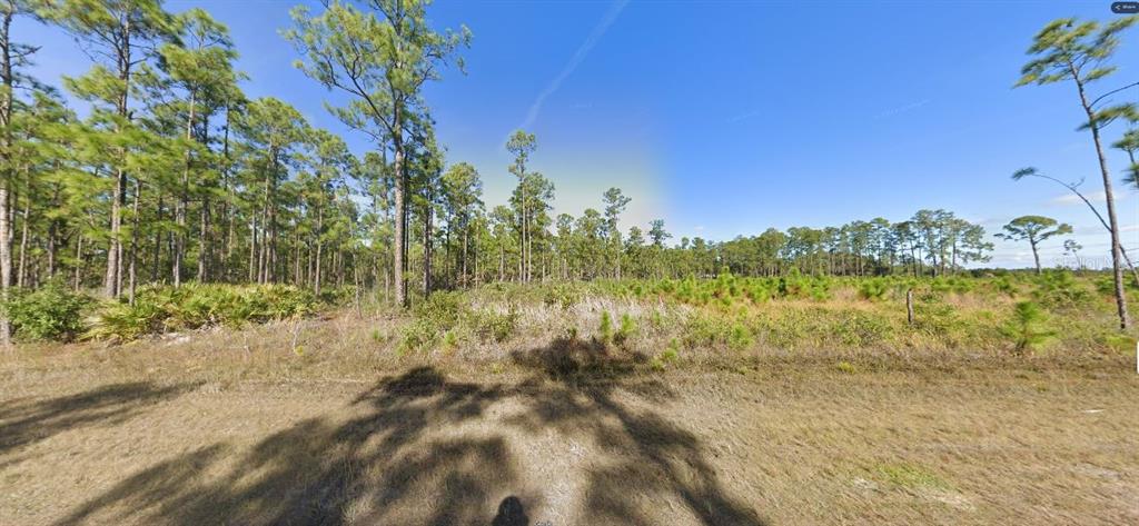 A flat, grassy lot features scattered pine trees and low-lying brush under a clear sky — 624 CALENDULA DRIVE, INDIAN LAKE ESTATES, FL