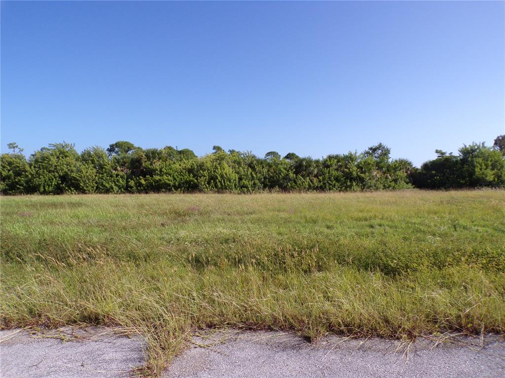 A flat, grassy vacant lot is bordered by a line of trees under a clear sky — 13384 ALEWIFE LANE, PLACIDA, FL