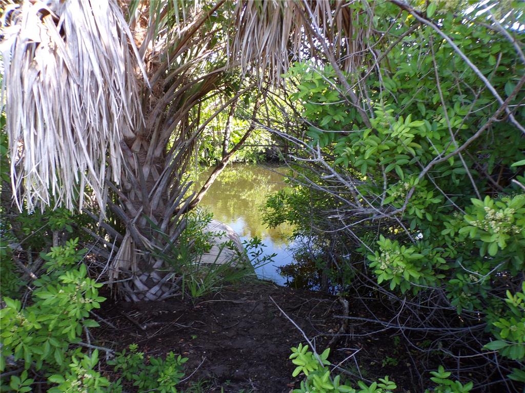 A dirt path leads through dense foliage to a small, shaded pond — 13384 ALEWIFE LANE, PLACIDA, FL
