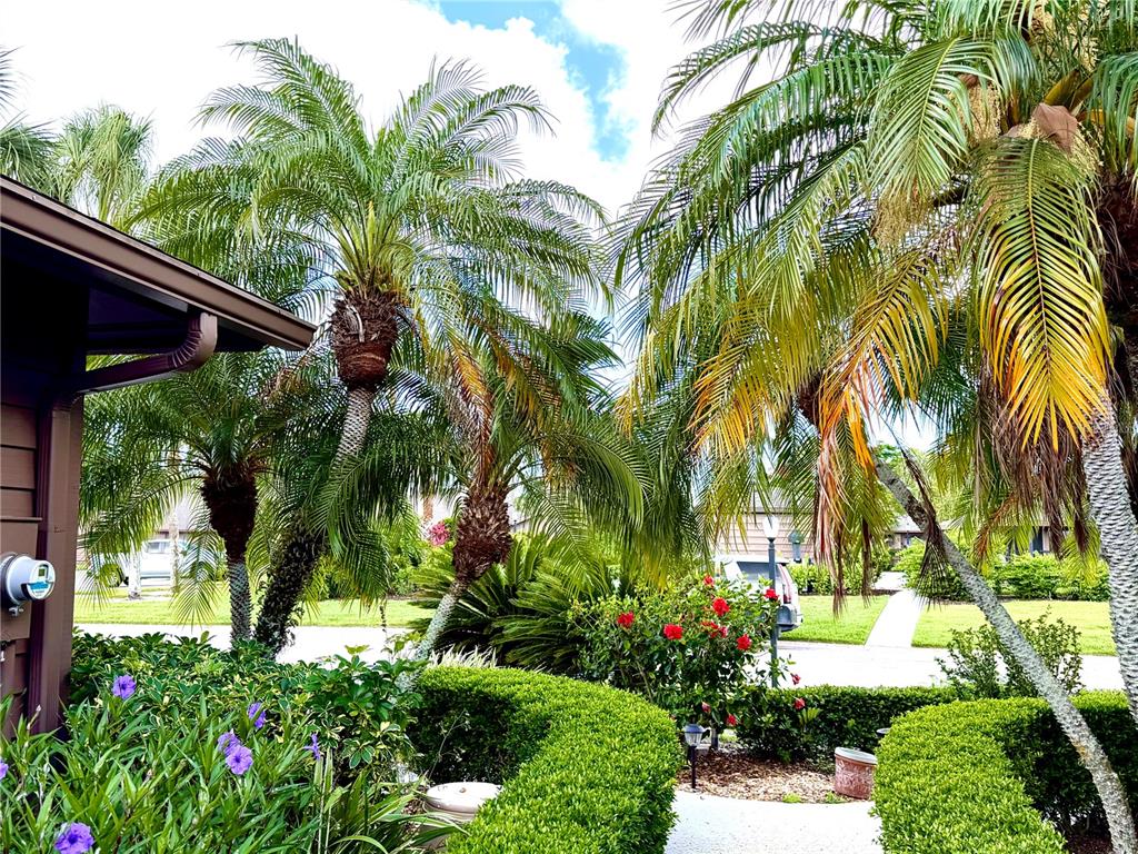 A concrete walkway leads to the front entrance of a house with brown horizontal siding — 5813 MERION WAY UNIT 5813, SARASOTA, FL