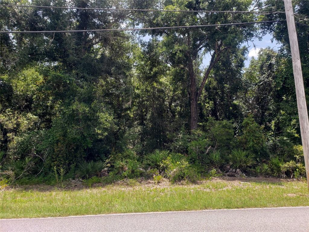 REYNOLDS ROAD, DE LEON SPRINGS, FL — photo 2 of 6
