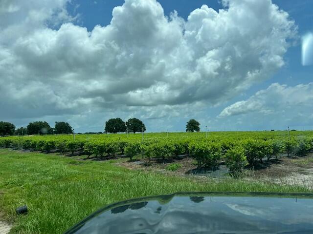 A view of a large, green agricultural field under a bright, cloudy blue sky — 4450 Walker Lake Road, Winter Haven FL 33880, WINTER HAVEN, FL