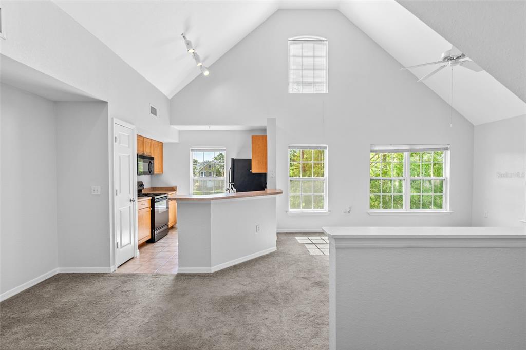 A living room with vaulted ceilings, carpeted flooring, and an open kitchen with wooden cabinets — 5611 BIDWELL PARKWAY UNIT 204, SARASOTA, FL