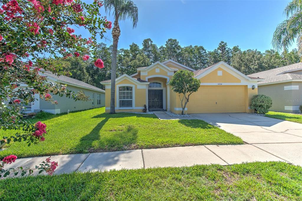 A yellow single-story house with a two-car garage, palm tree, and blooming crape myrtle tree — 30914 BURLEIGH DRIVE, WESLEY CHAPEL, FL
