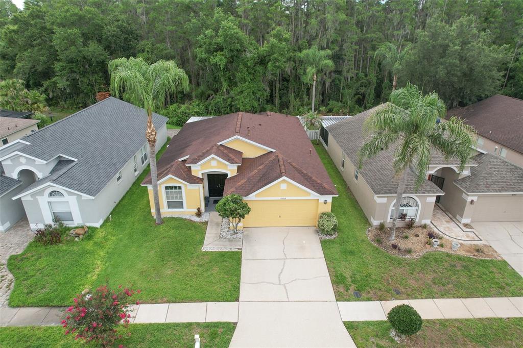 An aerial view shows a yellow single-story house with a brown roof and palm trees — 30914 BURLEIGH DRIVE, WESLEY CHAPEL, FL