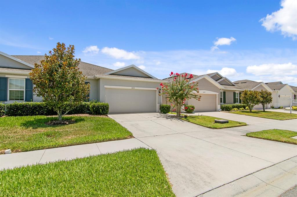 A street-level view of suburban houses with attached garages, concrete driveways, and manicured lawns — 10631 HERON HIDEAWAY LOOP, LAND O LAKES, FL