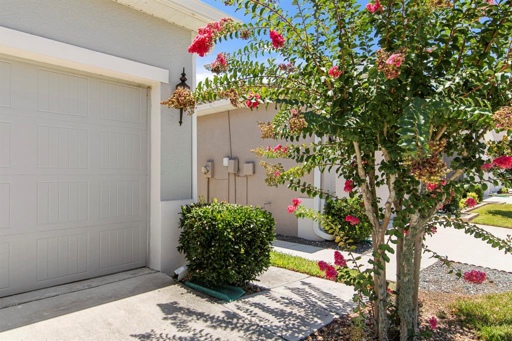 A view of a garage exterior with a blooming crape myrtle tree and landscaping — 10631 HERON HIDEAWAY LOOP, LAND O LAKES, FL