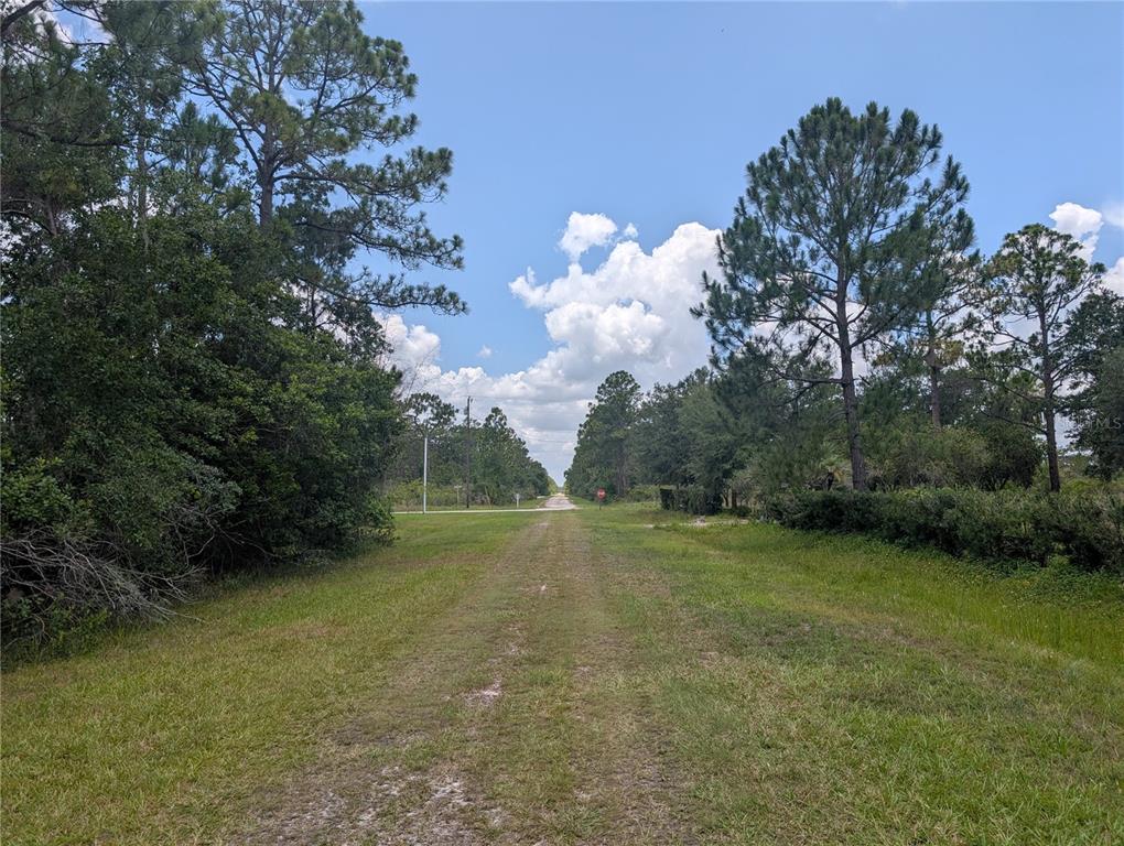 A grassy path leads toward a distant road intersection framed by tall pine trees — 519 CAMELLIA DRIVE, INDIAN LAKE ESTATES, FL