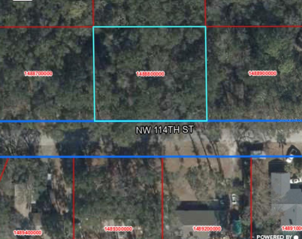 This is a satellite map view showing a vacant, wooded lot outlined in light blue — TBD NW 114TH STREET, CHIEFLAND, FL