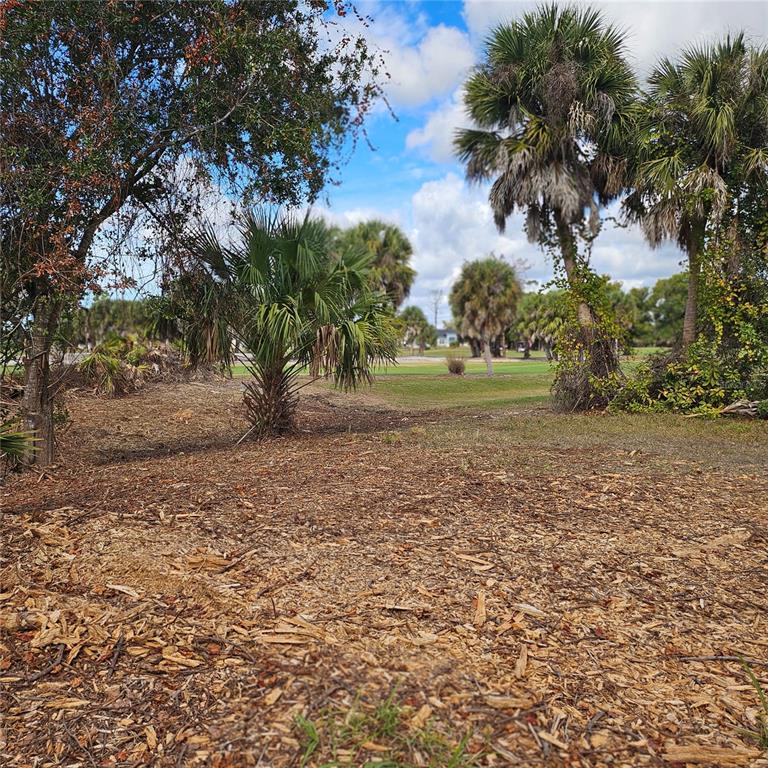 A view of a mulched yard with palm trees and a grassy area in the background — 20 CLUBHOUSE COURT, ROTONDA WEST, FL
