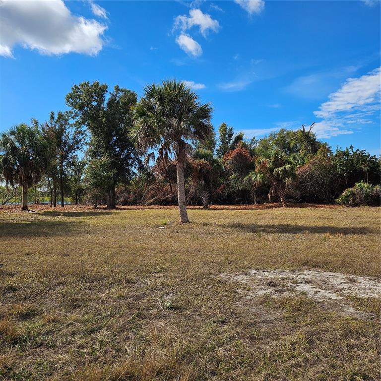 A grassy, open lot features a central palm tree with a dense treeline in the background — 20 CLUBHOUSE COURT, ROTONDA WEST, FL