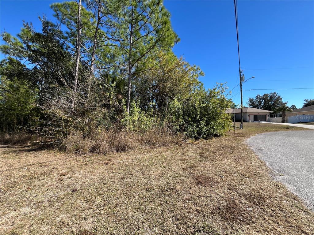 A vacant, grassy lot with dense trees and brush sits next to a paved road — TAPLIN AVE, NORTH PORT, FL