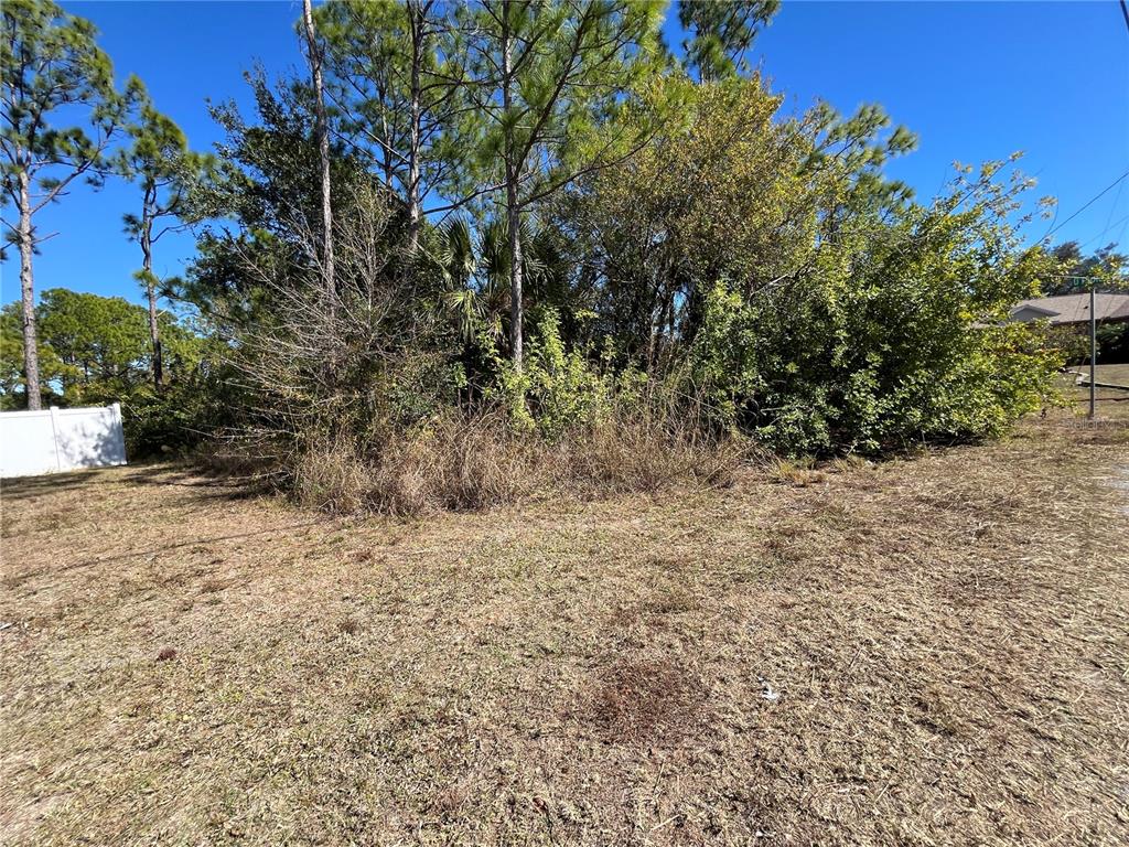 A vacant, grassy lot features dense trees and shrubs under a clear blue sky — TAPLIN AVE, NORTH PORT, FL
