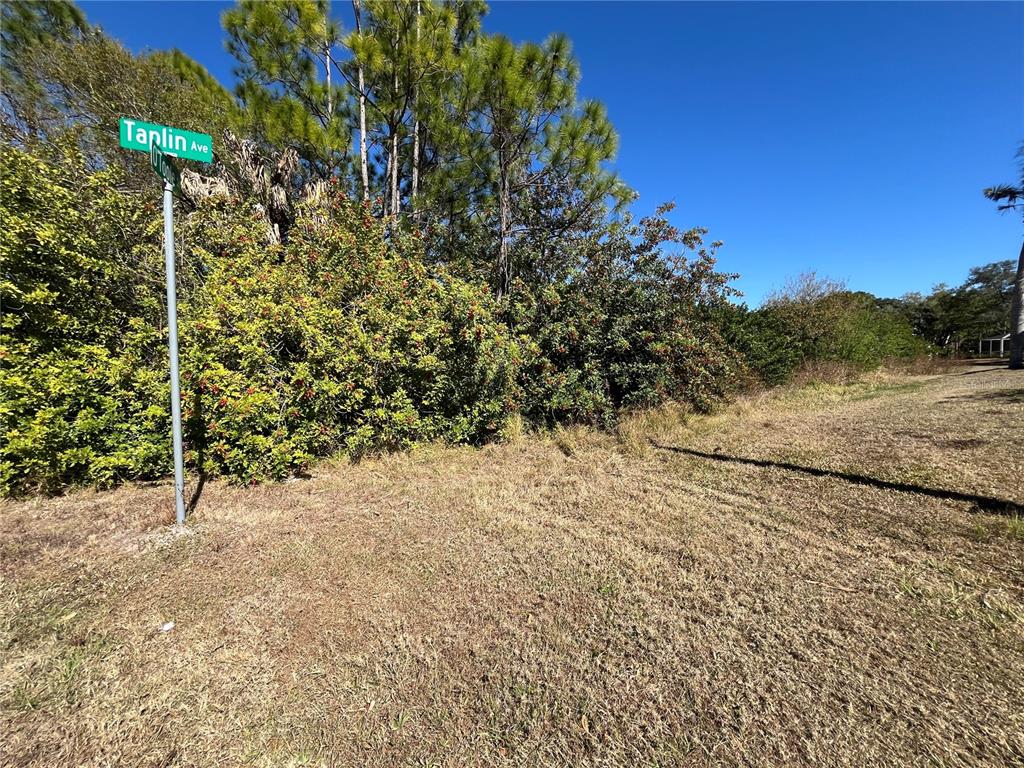 A street sign for Taplin Ave stands in front of dense trees and dry grass — TAPLIN AVE, NORTH PORT, FL