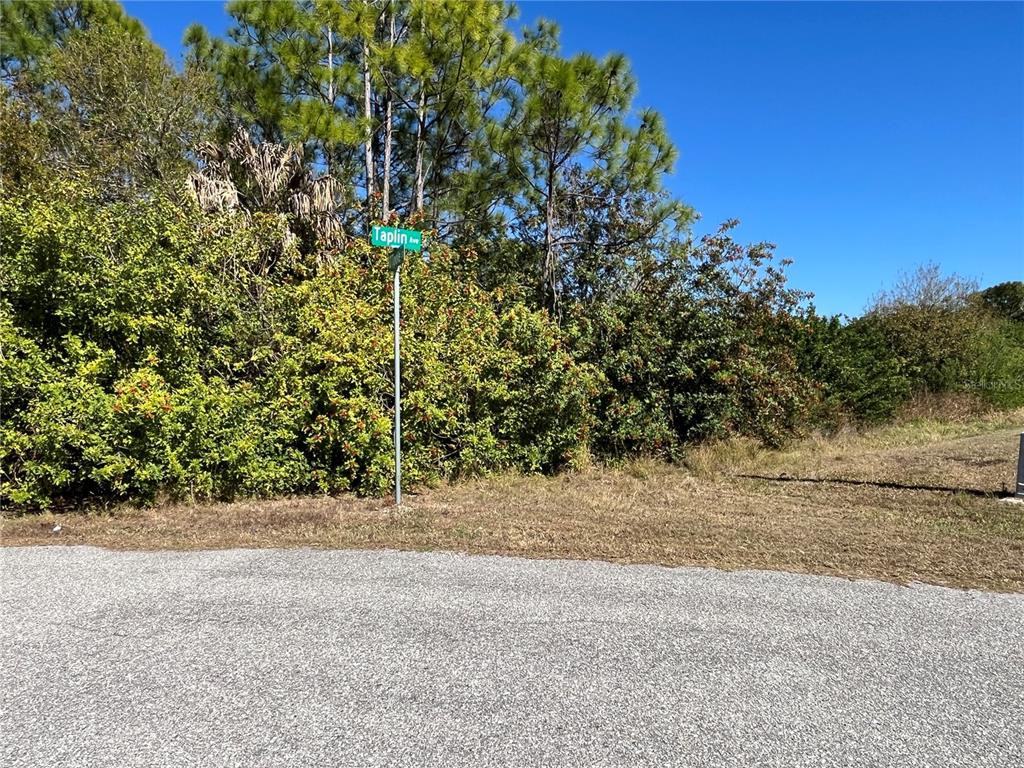 A street sign for Taplin Avenue stands in front of dense trees and brush — TAPLIN AVE, NORTH PORT, FL