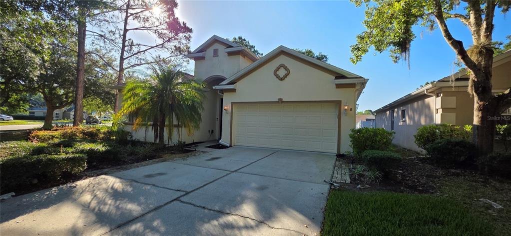 A single-story house with a beige stucco exterior, a two-car garage, and a concrete driveway — 10906 TREE CACTUS LOOP, LAND O LAKES, FL