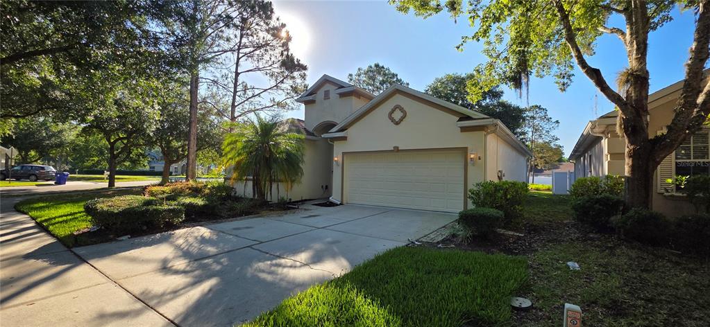 A single-story house with a two-car garage, a concrete driveway, and surrounding trees — 10906 TREE CACTUS LOOP, LAND O LAKES, FL