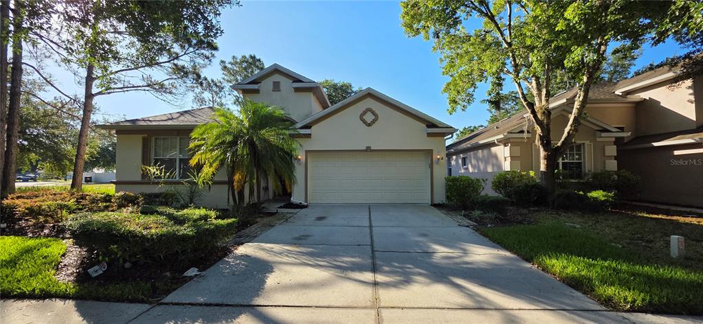 A single-story house with a beige stucco exterior, a two-car garage, and a palm tree — 10906 TREE CACTUS LOOP, LAND O LAKES, FL